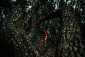 BIB: 
                            <button type="button" onclick="openModal(25691429)" class="btn btn-primary btn-sm float-right btn-popup" data-toggle="modal" data-target=".modal-high-quality">
                        <i class="fas fa-shopping-cart"></i> Add to Cart
                    </button>
                                            <button type="button" onclick="isThisMe(25691429, true)" class="btn btn-success btn-sm float-right btn-popup btn-isme hidden" data-toggle="tooltip" data-placement="bottom" title="นี่คือรูปของคุณใช่ไหม คลิกที่นี่เพื่อเอาเข้าอัลบั้ม">
                        <i class="fas fa-plus"></i> Add to album
                    </button>
                    <button type="button" onclick="isThisMe(25691429, false)" class="btn btn-warning btn-sm float-right btn-popup btn-isnotme hidden">
                        <i class="fas fa-ban"></i> Remove from album
                    </button>